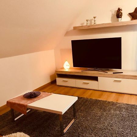 Grosses 1-Zimmer Wohlfuhl-Appartement Редницхембах Экстерьер фото